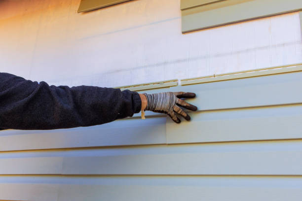 Best Siding for Commercial Buildings  in Citrus Park, FL